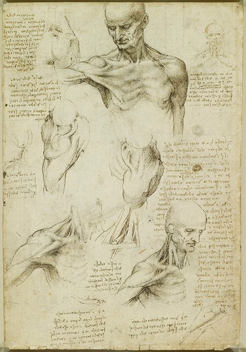 اثر لئوناردو داوینچی