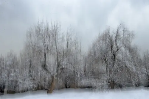 اثر ژان رضایی 008