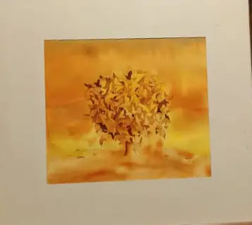 آرش سلطانعلی 002